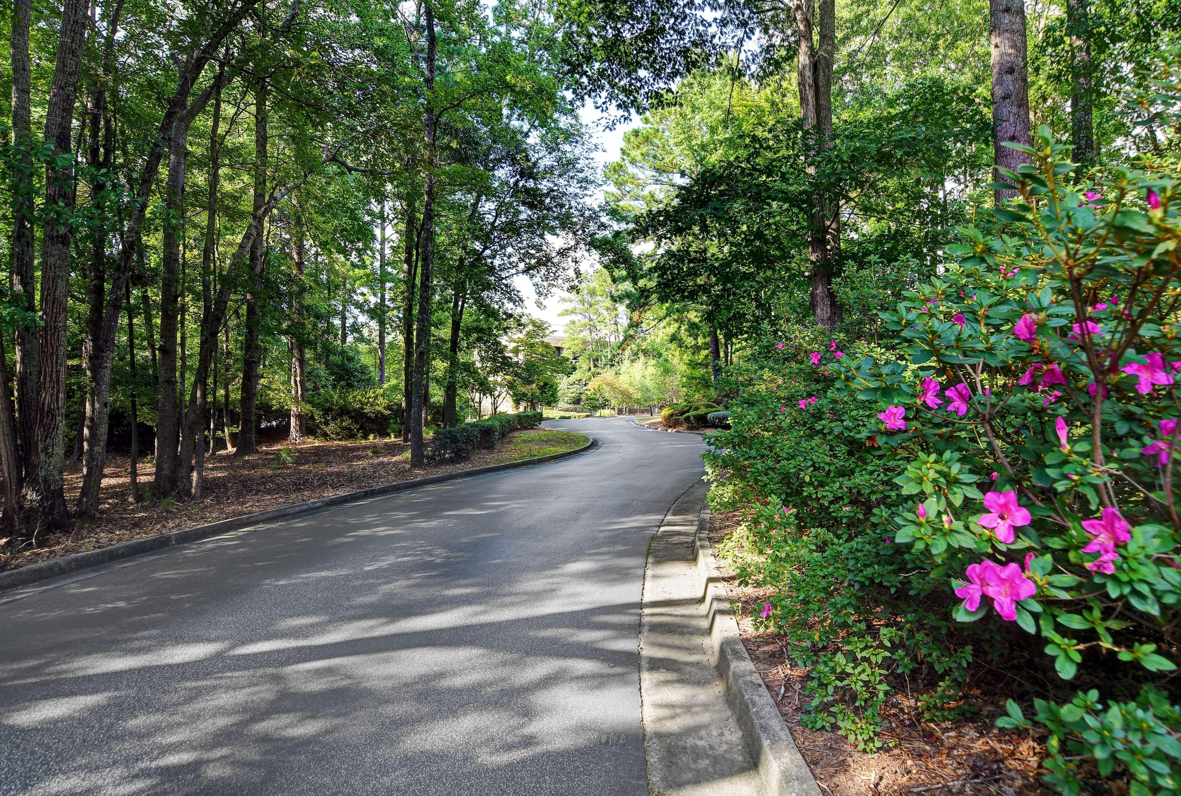 Hilton Peachtree City Atlanta Hotel & Conference Center Kültér fotó